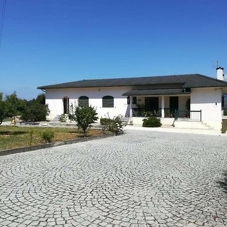 Casa Dos Lacos Визеу Экстерьер фото